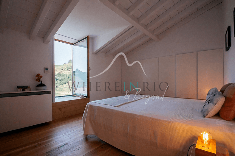 Amazing Vineyard Villa in Douro