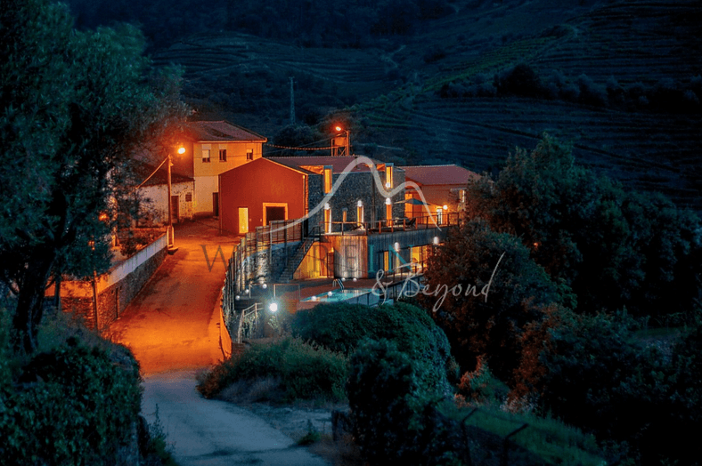 Amazing Vineyard Villa in Douro