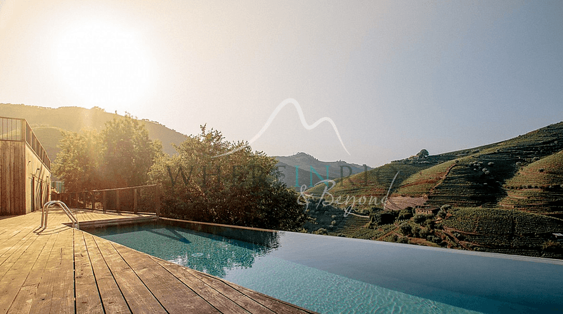 Amazing Vineyard Villa in Douro