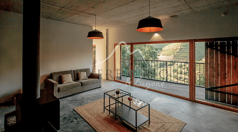 Amazing Vineyard Villa in Douro