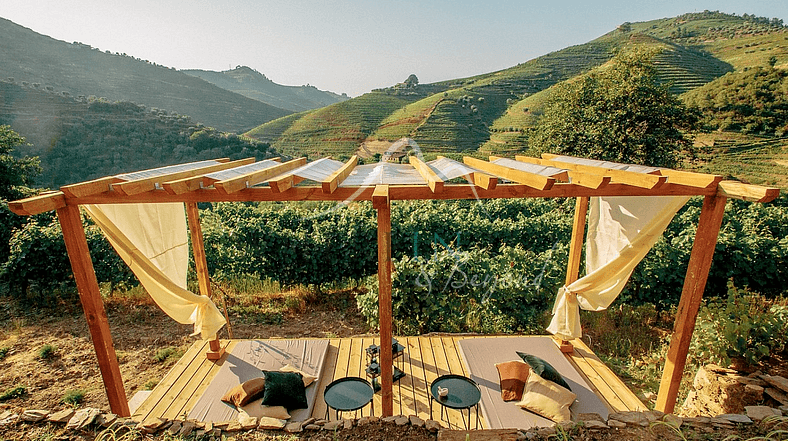 Amazing Vineyard Villa in Douro