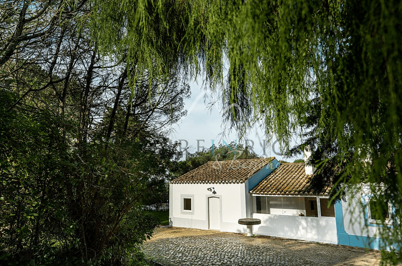 Beautiful Estate with Four Houses in Arrábida