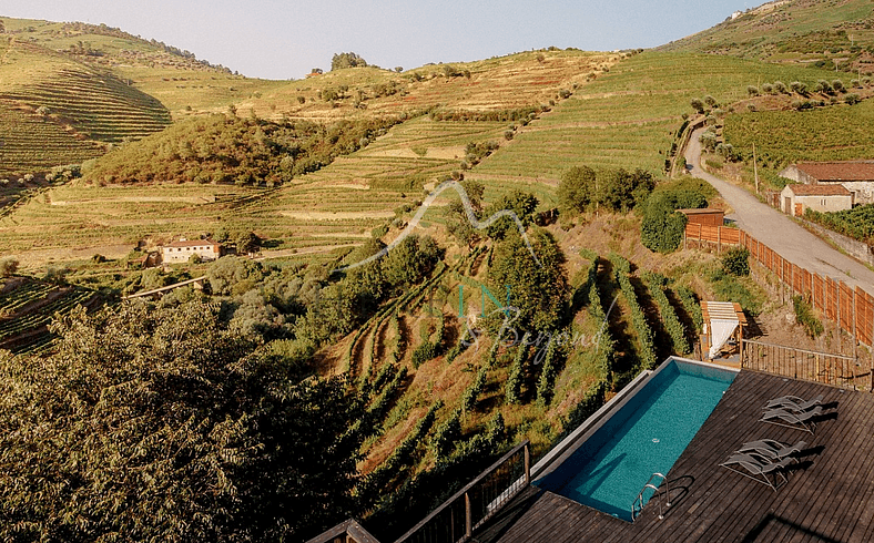 Superbe Villa de Vignoble dans le Douro